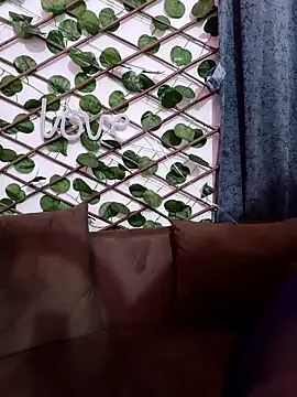 Bold-Cat online show from February 2025 06:02:01 PM