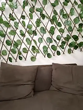 Bold-Cat online show from October 2025 08:16:02 PM