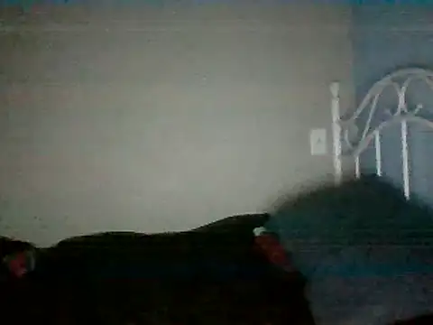 SmokingSloth online show from March 2025 05:14:01 AM