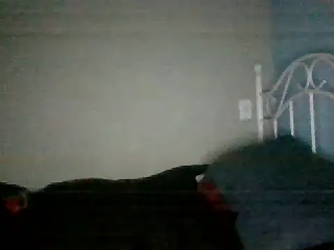 SmokingSloth online show from March 2025 08:21:02 AM