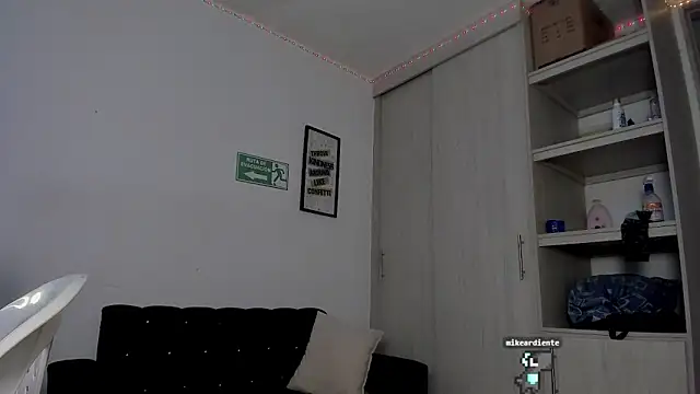 Snapshot of _diegsz_ chatting on February 2025 05:07:02 PM diegsz online show from February 2025 05:07:02 PM