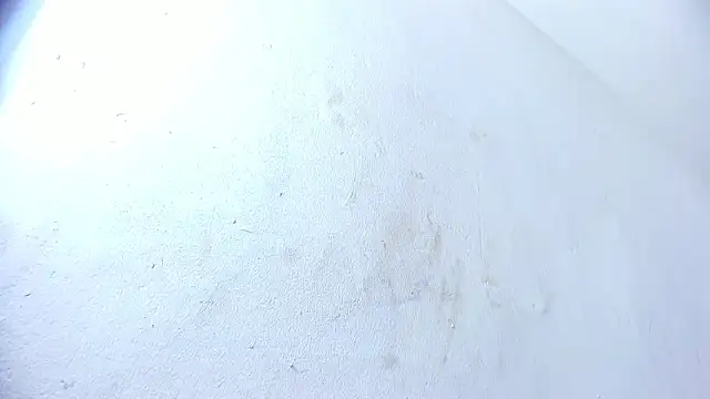 brant garciabbc online show from February 2025 10:02:01 PM