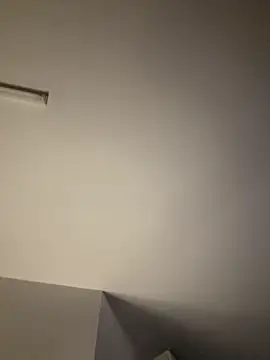 tigerrtiger online show from February 2025 12:46:01 AM