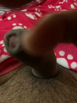 Snapshot of Jimbox6661 chatting on January 2026 11:34:01 AM Jimbox6661 online show from January 2026 11:34:01 AM