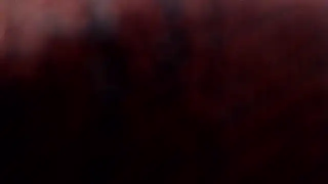 1BECHA1 online show from March 2026 02:35:02 PM