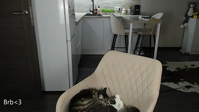 nilliluv online show from March 2026 11:20:02 PM