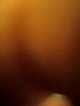 joeyriddle online show from April 2026 04:23:02 AM