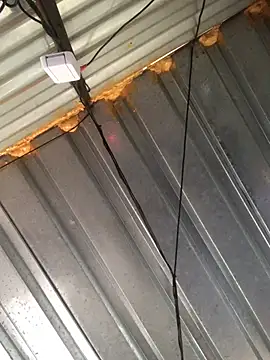 realGsign online show from February 2025 03:12:02 PM