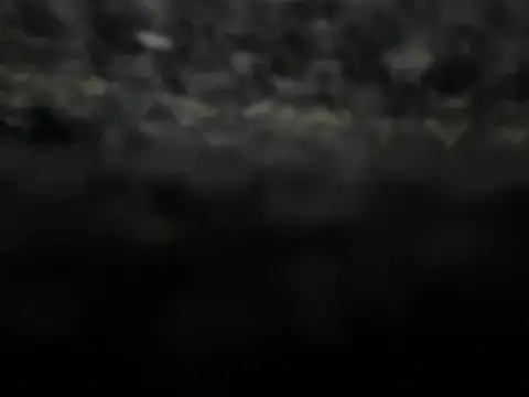  my ass  online show from February 2025 10:00:01 PM