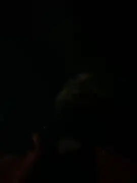 Snapshot of Rastamanzigy22 chatting on February 2026 02:06:02 AM Rastamanzigy22 online show from February 2026 02:06:02 AM