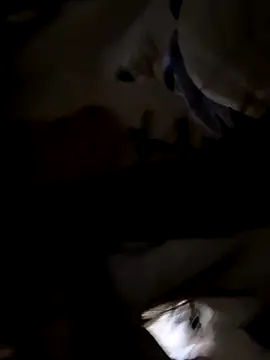 Snapshot of Sweet-Angel999 chatting on November 2025 05:28:02 PM Sweet-Angel999 online show from November 2025 05:28:02 PM