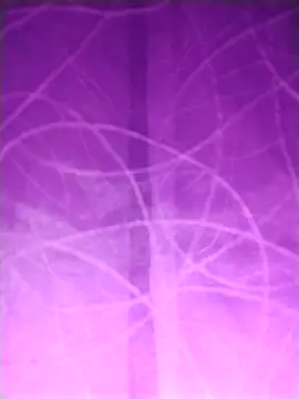 Nik888Nik888 online show from February 2025 02:38:01 AM