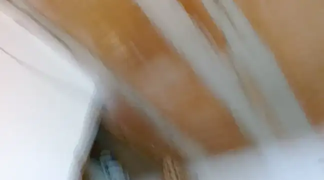 alexxa Rooa online show from February 2025 02:19:01 AM