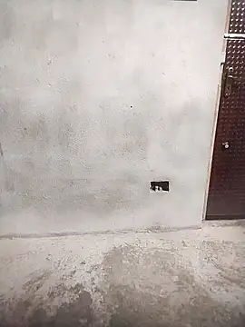 Priya-bhabi012 online show from February 2026 07:29:02 AM