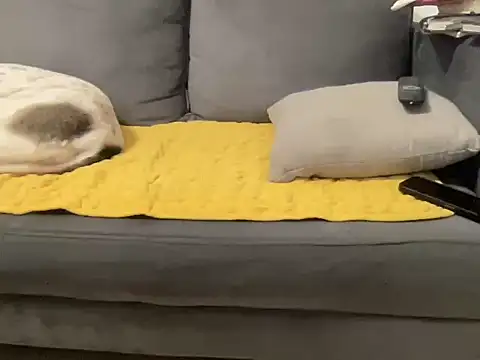 4small4inchlol online show from January 2026 03:25:02 PM