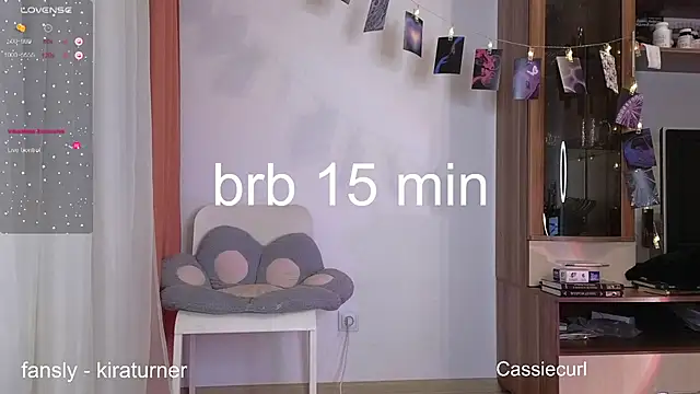 art phoenix online show from February 2025 07:49:02 PM