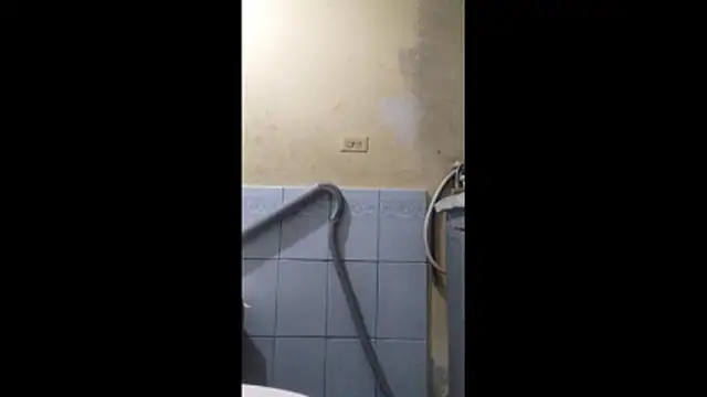 Dmoa34 online show from January 2026 03:56:01 AM