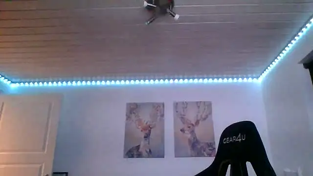 Snapshot of Gotta1 chatting on February 2025 04:36:01 PM Gotta1 online show from February 2025 04:36:01 PM