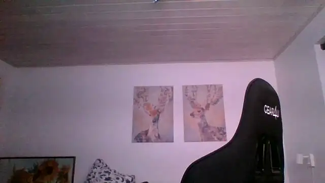 Snapshot of Gotta1 chatting on February 2025 08:03:02 PM Gotta1 online show from February 2025 08:03:02 PM