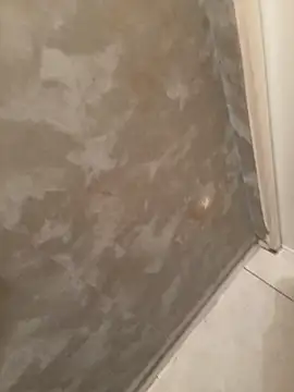 voliv34 online show from February 2026 01:51:01 PM