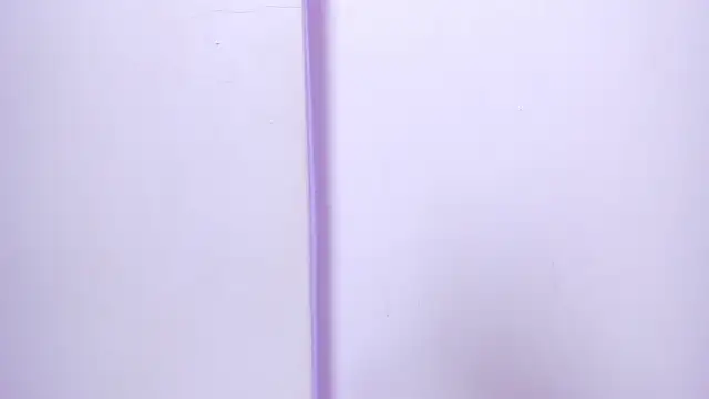 Snapshot of celestelewis chatting on February 2025 07:37:02 PM celestelewis online show from February 2025 07:37:02 PM