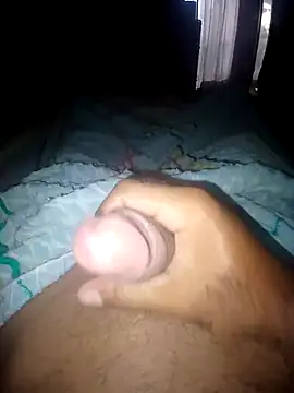 taylorWiiz online show from September 2025 02:08:01 PM