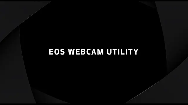 DamienSliick online show from September 2025 11:24:01 AM