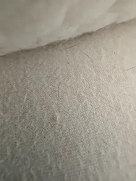 hungarian dick online show from September 2025 09:33:01 AM