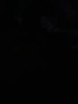 Snapshot of avans_15 chatting on May 2026 12:06:02 AM avans 15 online show from May 2026 12:06:02 AM
