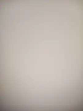 bustybillies online show from October 2025 05:48:01 AM