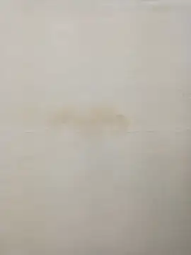 Rina777o online show from December 2024 08:36:01 PM