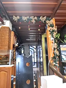 amazonafit  online show from March 2026 09:08:01 PM