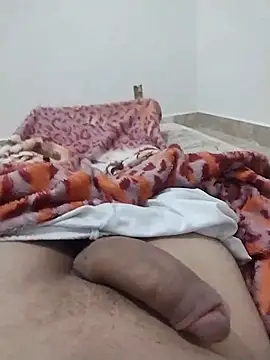 lm279 online show from February 2025 01:16:02 AM