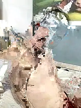 aliancagrafica2 online show from October 2025 12:57:01 AM