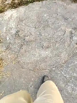 Ishan003 online show from February 2026 01:32:01 AM