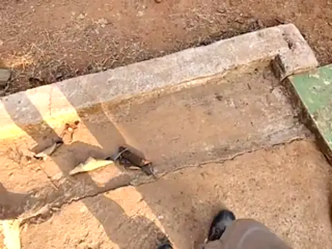 Ishan003 online show from February 2026 10:36:01 AM