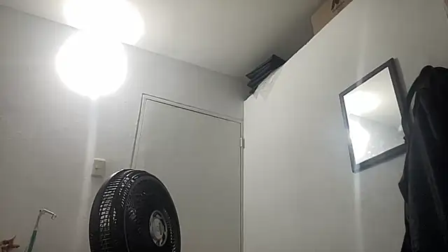 EvaHalsey online show from January 2026 10:45:01 PM