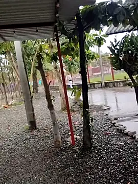 Snapshot of BeetledFlouter12 chatting on September 2025 07:07:02 PM BeetledFlouter12 online show from September 2025 07:07:02 PM