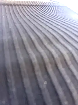 Lesly 10- online show from January 2025 03:13:02 PM