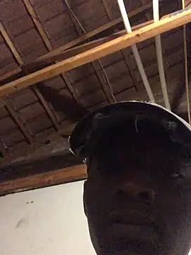 Snapshot of thekidrose chatting on December 2025 05:35:02 AM thekidrose online show from December 2025 05:35:02 AM