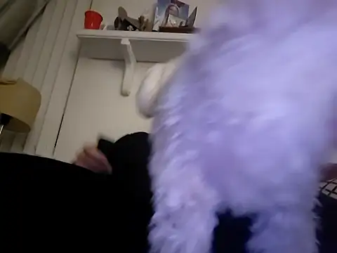 Hand69someguy online show from January 2026 06:37:02 AM