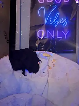 fantasymade69 online show from November 2025 06:46:01 AM