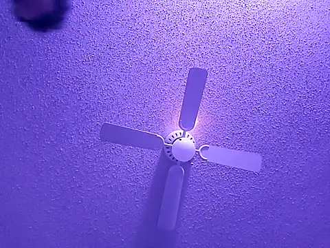 big8dall online show from September 2025 06:50:01 AM