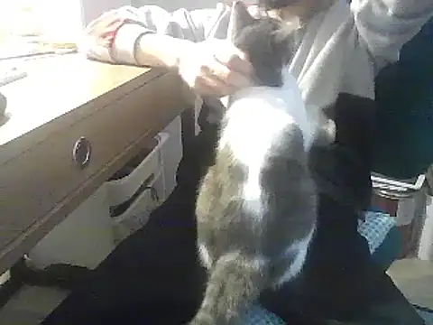 kallaviz online show from January 2026 07:16:01 PM