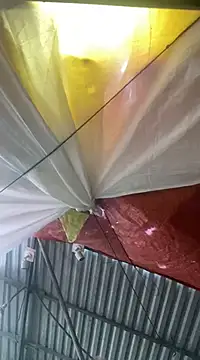 Snapshot of Cesywet chatting on February 2025 08:33:02 AM Cesywet online show from February 2025 08:33:02 AM