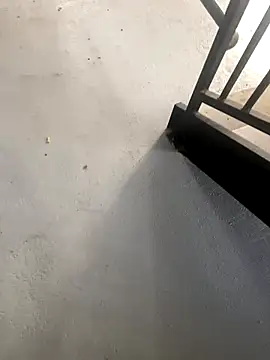 zeekBbc online show from October 2025 02:21:02 PM