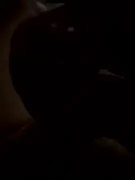 Snapshot of rusken123 chatting on January 2026 05:49:02 PM rusken123 online show from January 2026 05:49:02 PM