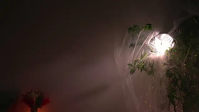 lorrie love story online show from October 2025 08:55:01 AM