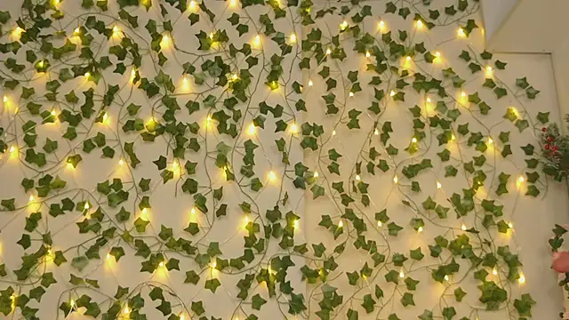 Brenda M00n online show from January 2025 09:25:02 PM