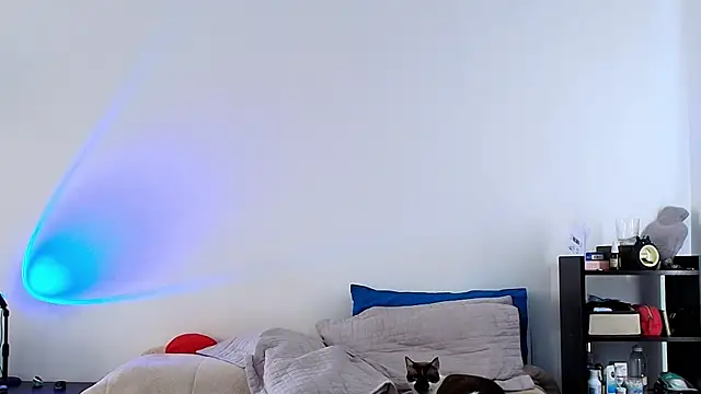 Snapshot of anika_lowen02 chatting on February 2025 08:23:02 PM anika lowen02 online show from February 2025 08:23:02 PM